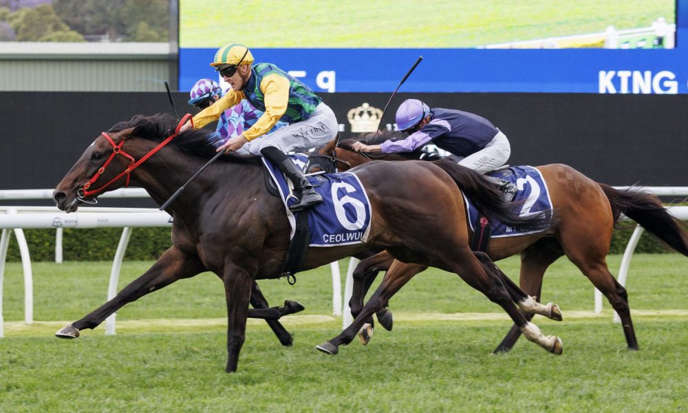 快船在此次 快船在此次