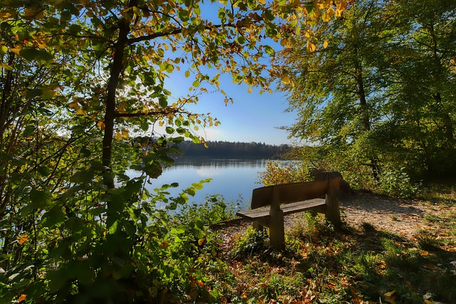 切尔西在冬 切尔西在冬