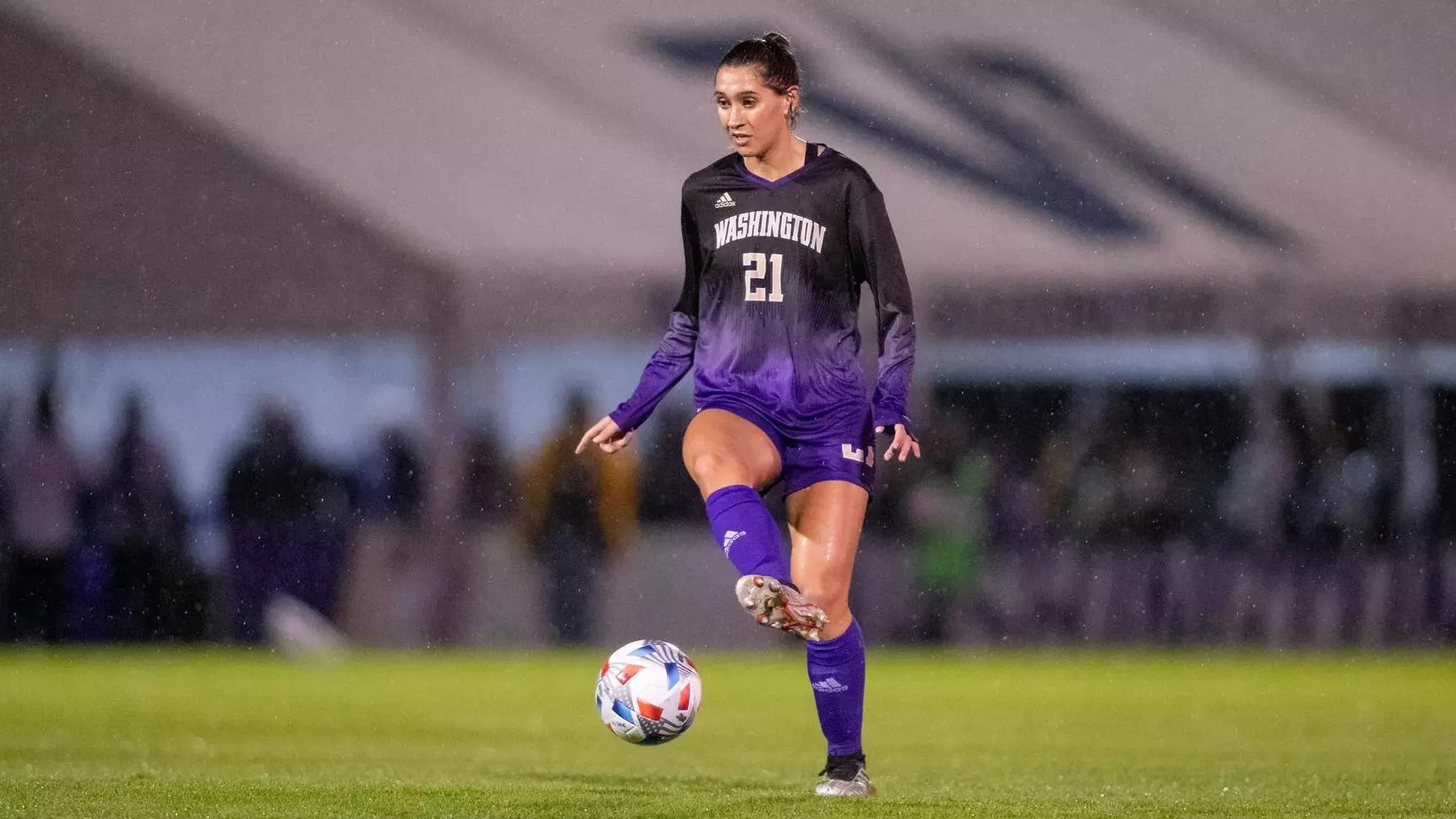 门的努力 门的努力