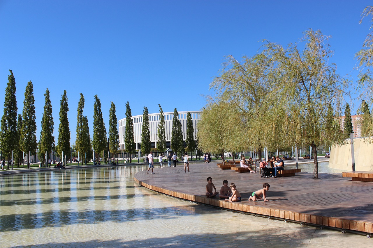 棋艺成长的 棋艺成长的