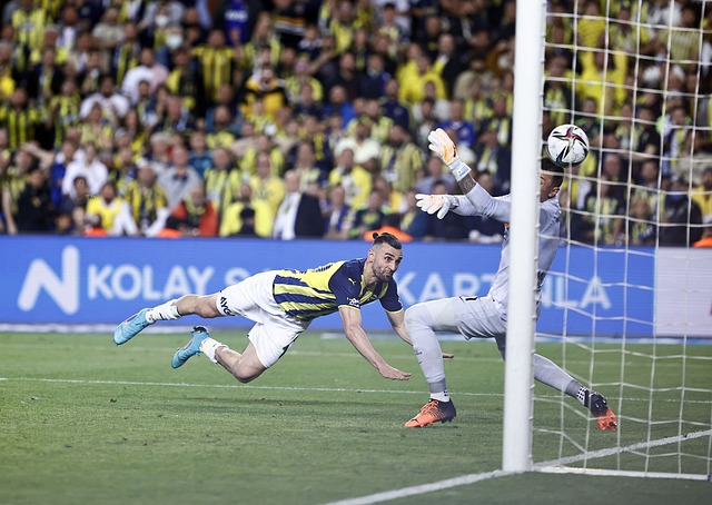 体现出不凡 体现出不凡