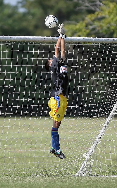 学生都能参 学生都能参