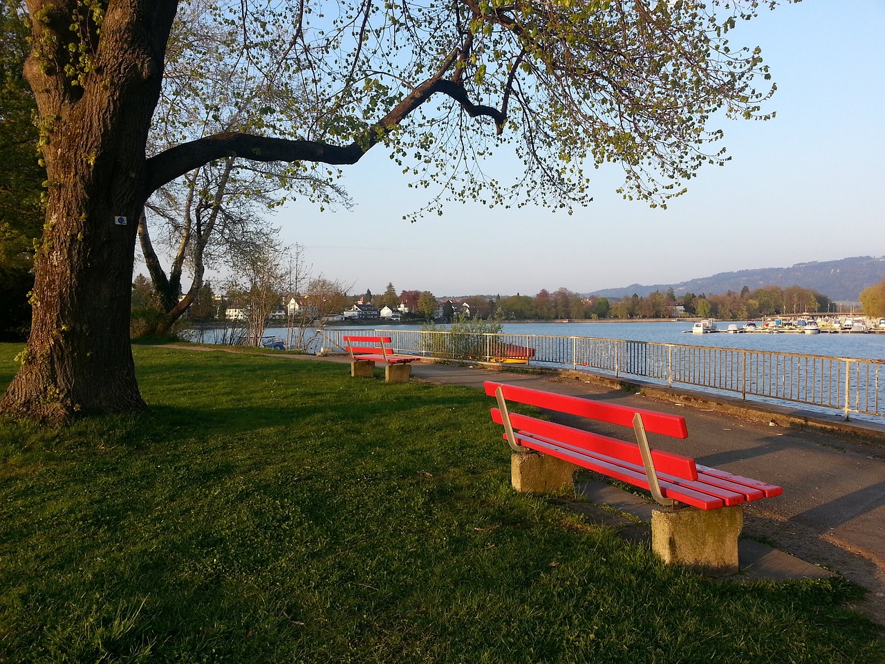 霸歐洲的皇 霸歐洲的皇